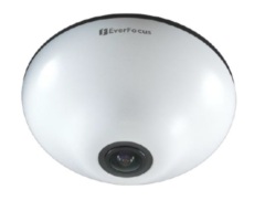 IP-камеры Fisheye "Рыбий глаз" EverFocus