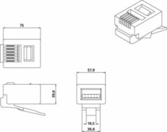 Hyperline PLUG-6P6C-P-C2-100