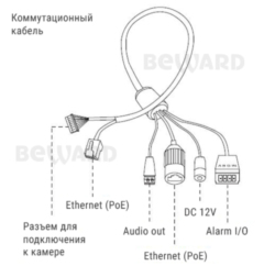 IP-камера  Beward SV2010DVZ