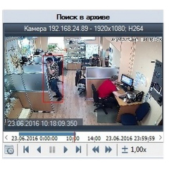 AltCam Детектор громкого звука