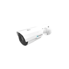 IP-камера  EverFocus EZN-1250