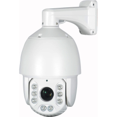 Поворотные уличные IP-камеры AltCam ISDV51IR