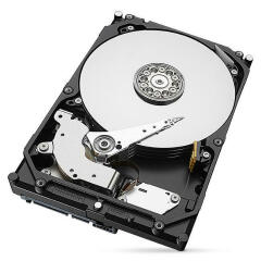 Seagate ST8000DM004