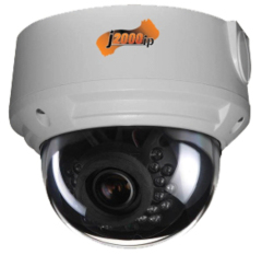 Купольные IP-камеры J2000IP-DWV113-Ir1-PDN