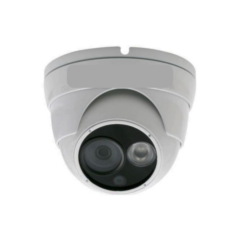 IP-камера  EverFocus ACE-IEB50P