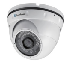 Купольные IP-камеры EverFocus EBN-268